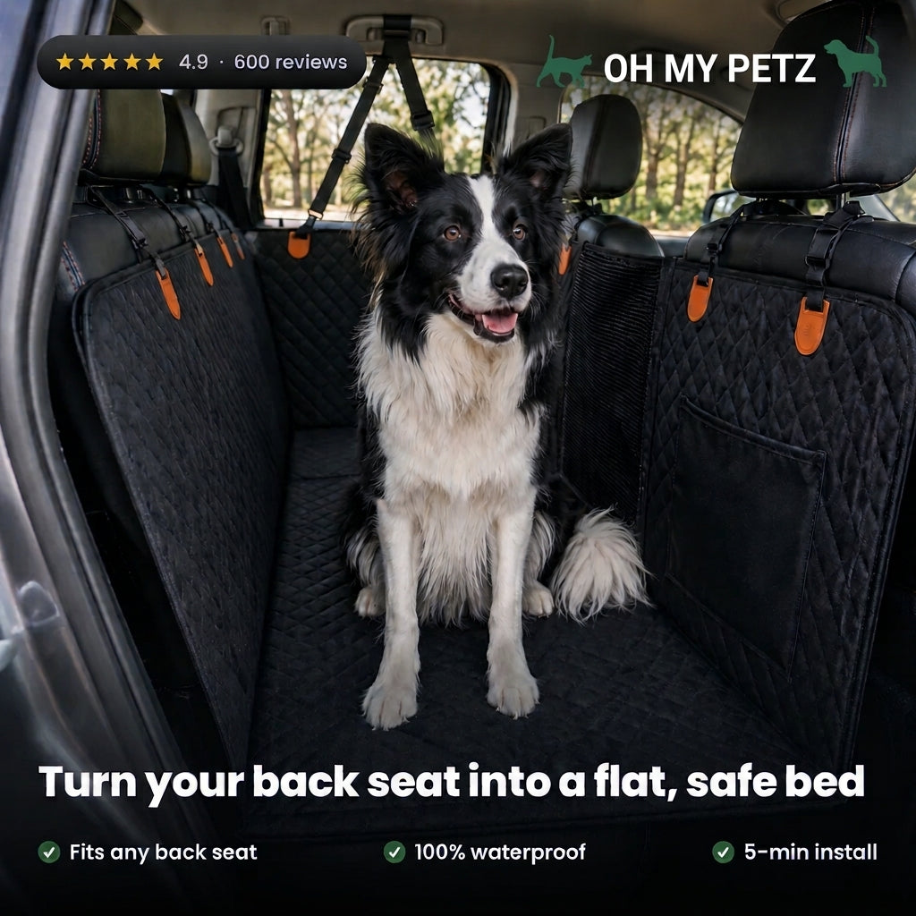 Car Seat Cover & Back Seat Extender (Hard Bottom) for Dogs